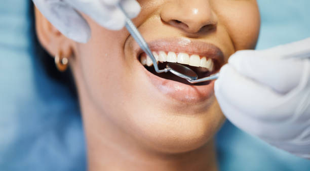 Best Urgent Dental Care in South Monroe, MI
